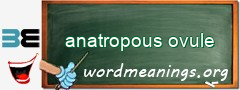 WordMeaning blackboard for anatropous ovule